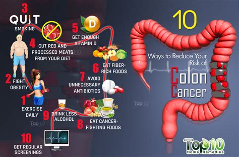 Colon may also refer to: Colon Cancer: Myths & Facts | GetDoc