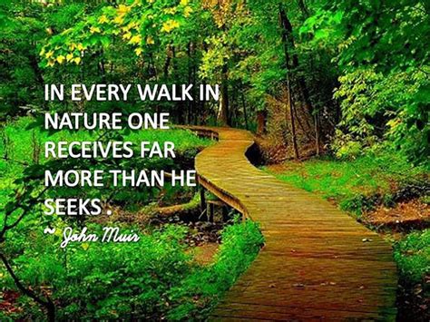 Quotes Nature Walk Quotesgram
