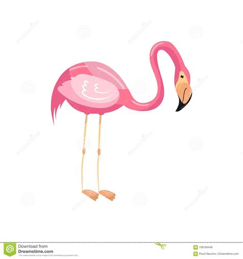 Pink Flamingo Exotic Bird Vector Illustration Stock Vector