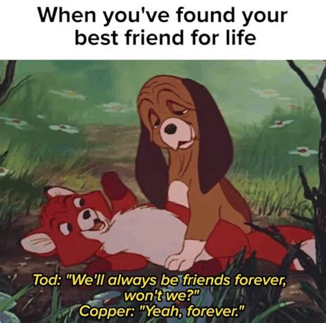 50 memes you need to send to your best friend right now funny best friend memes best friends