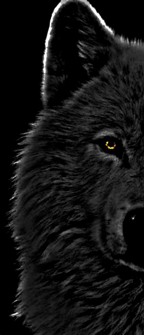 Pin De Irma Jeon En Lobos Lobo Negro Fotos De Lobo Ojo De Lobo