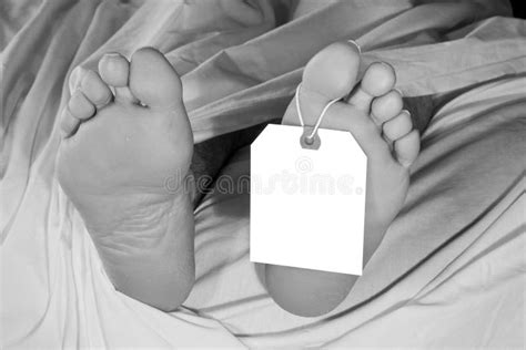 Deceased Man With Toe Tag Stock Image Image Of Toes 36675793