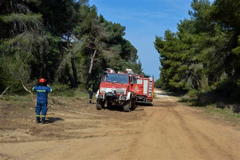 Συνεχίζεται η μάχη της πυροσβεστικής με τις φλόγες στον. Φωτιά τώρα: Πυρκαγιά στον Διόνυσο | Pagenews.gr