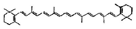 Chlorophyll b is a form of chlorophyll. Bio-Kurs: Fotosynthese