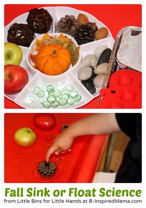 A Fun Preschool Science Activity Let Your Preschooler Use Fall