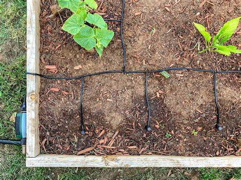A Drip Irrigation System Controlled By An Automatic Timer Will Give You