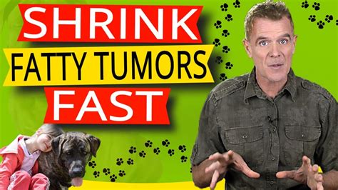 How To Get Rid Of Fatty Tumors In Dogs One Simple Supplement Youtube