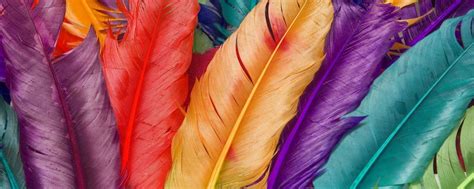 Download Colorful Bright Pastel Feathers Wallpaper