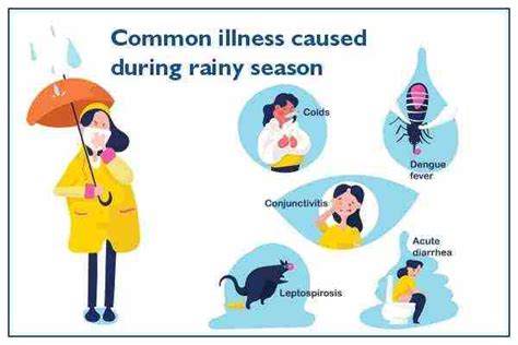 Prevention Of Diseases During Rainy Season Medicover Hospitals