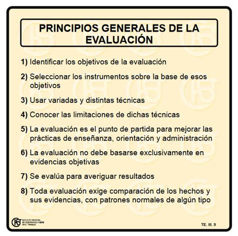 Evaluación Educativa 8 Principios Generales Infografía Tecnicas