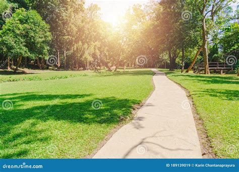 New Pathway And Beautiful Trees Track For Running Or Walking And