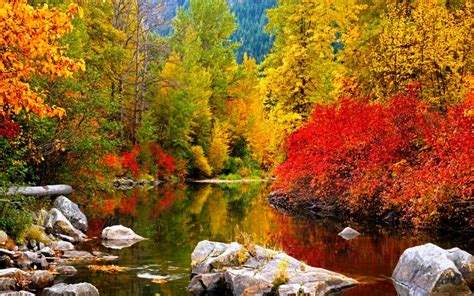 Free Download High Resolution Fall Wallpaper Forest River 1024x640
