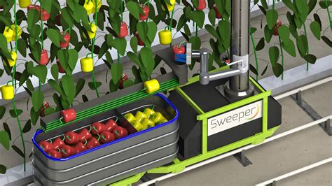 New Phase For Pepper Harvesting Robot Program Greenhouse Canada