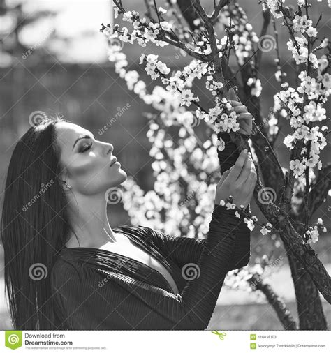 Woman With Blooming Apricot Stock Image Image Of Blossom Young
