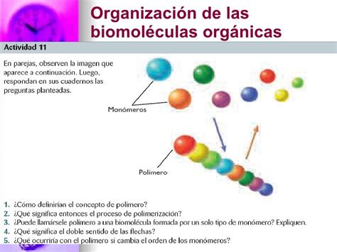 Moleculas Organicas