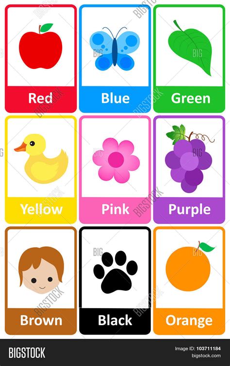 Colors Flash Cards Image And Photo Free Trial Bigstock