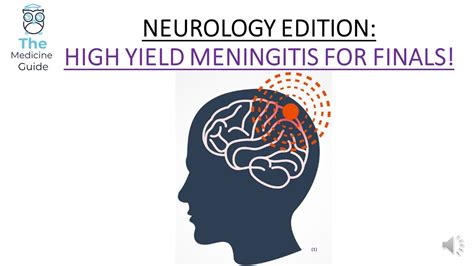 Neurology Edition High Yield Meningitis For Finals Youtube