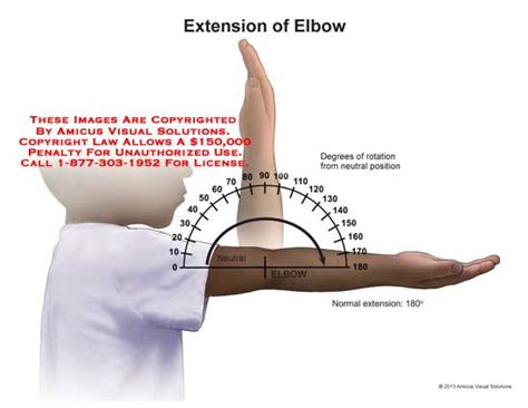 Range Of Motion Of The Elbow