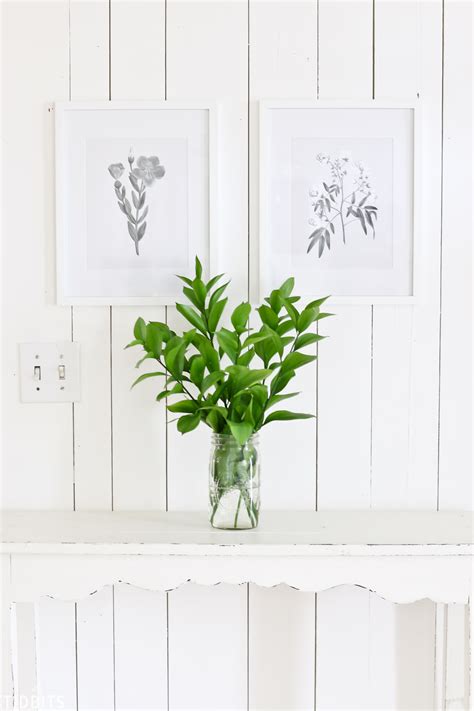 Free Black And White Vintage Botanical Prints Tidbits