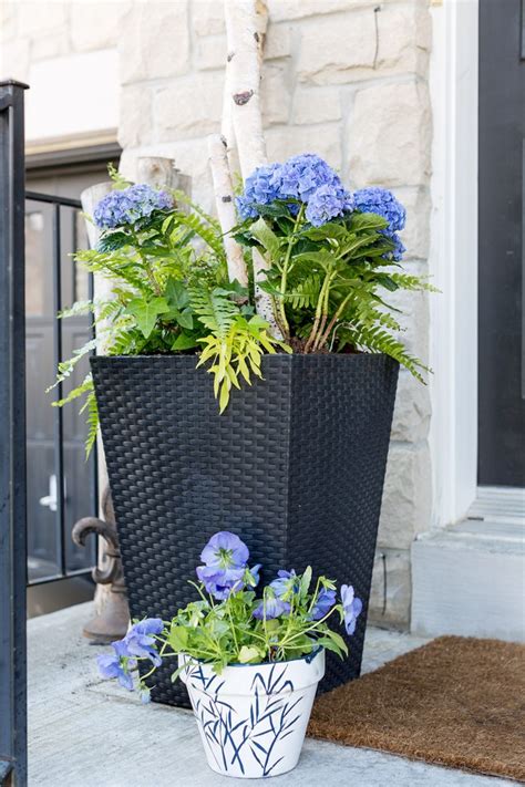 Front Door Planters With Hydrangeas And Ferns Flower Pots Porch