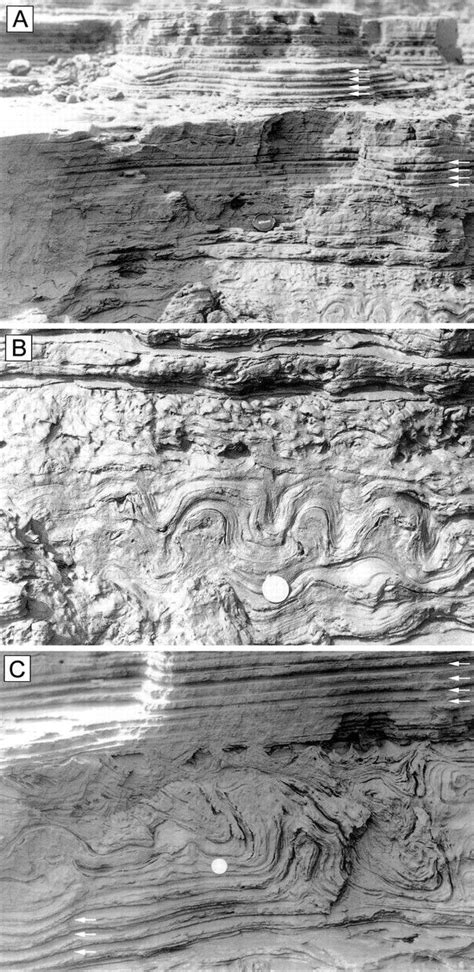 Figure 10 Photographs Showing Rhythmic Lamination A And Convolute