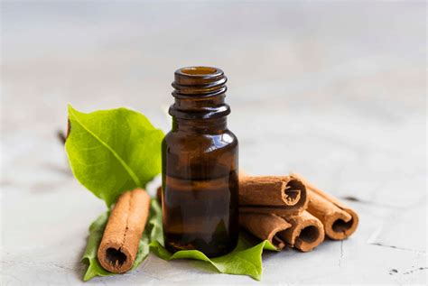 Cinnamon Essential Oil Benefits And Uses Crafting Her Scents