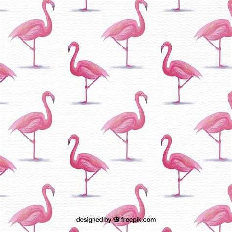 Free Background Of Watercolor Flamingos Nohatcc