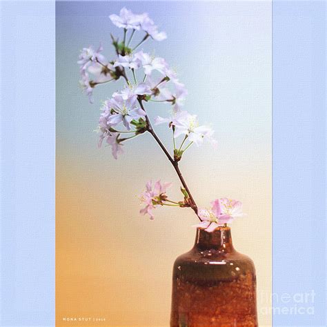 Cherry Blossoms In Vase Photograph By Mona Stut Fine Art America