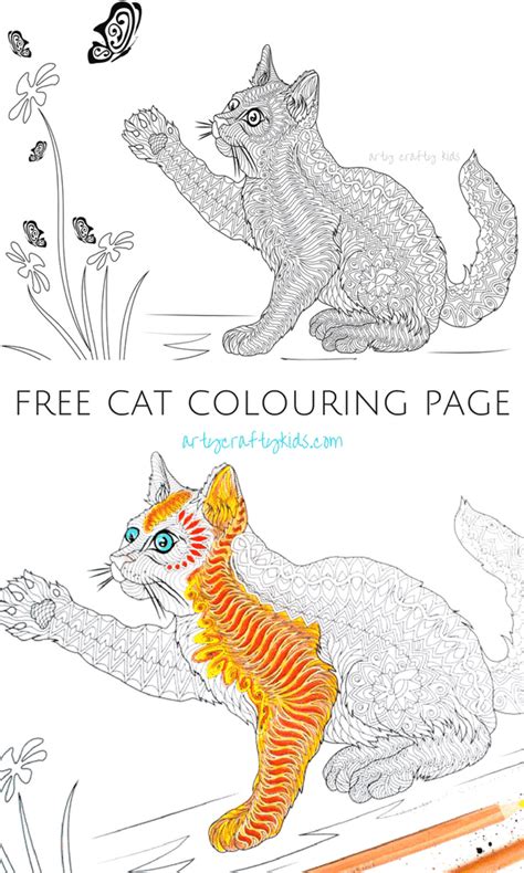 Cat Colouring Pages For Adults That Is Why Some People Call Them
