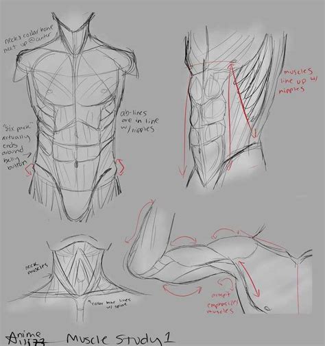 Pin By Hyperactive405 On Reference For Everything Human Drawing