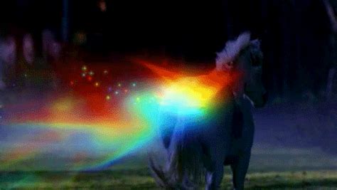 Made Of Rainbows And Unicorns S Get The Best  On Giphy