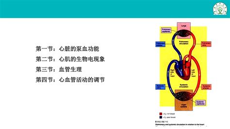 41 心脏的泵血功能下载 重庆大学出版社教学资源库管理平台