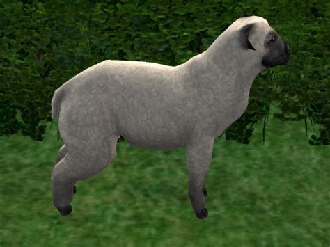 Sims 4 Sheep Cc