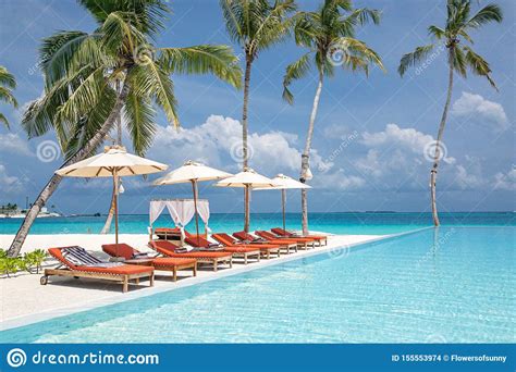 Tropical Beach Resort With Lounge Chairs Umbrellas And Infinity Pool In