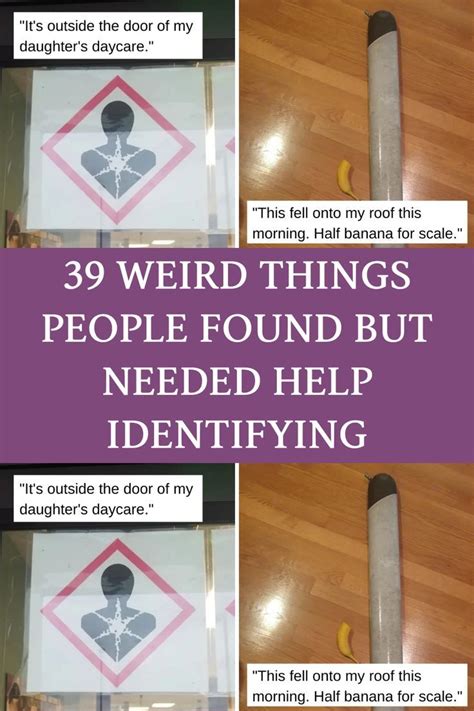 Weird Things People Found But Needed Help Identifying Weird Helpful Cute Funny Quotes