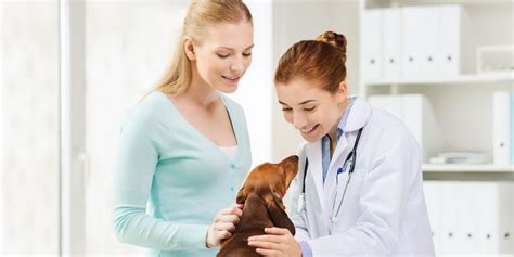 Veterinary Clinics Hps