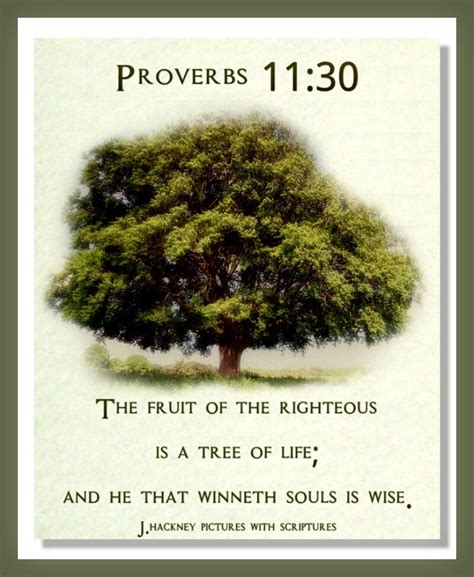 Proverbs 1130 The Fruit Of The Righteous Is A Tree Of Life And He