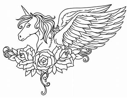 Unicorn Coloring Realistic Pages Animal