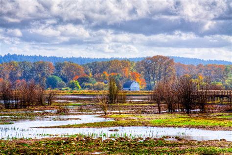 Nisqually Wildlife Refuge P34 Photograph By David Patterson