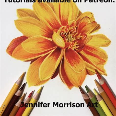 Jennifer Morrison Art Is Creating Botanical Colored Pencil Drawing