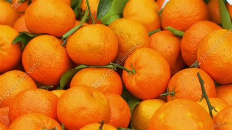 Oranges At The Fruit Market 영상 소스 9518299
