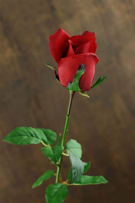 12 Long Stem Silk Ecuador Red Rose Buds Beautiful Rose Flowers Rose