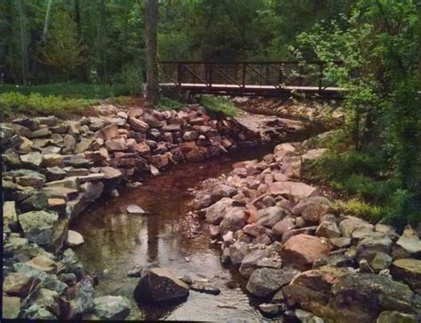 Arkansas Landscaping Ideas And Gallery Frank Sharums