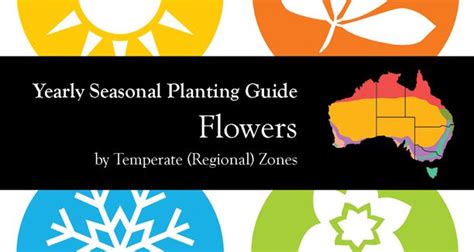 The Year Seasonal Planting Guide For Flowers By Temperate Regional