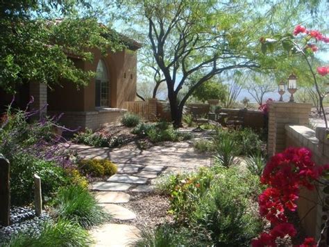 Best Desert Landscaping Front Yard 1000 In 2020 Arizona Backyard