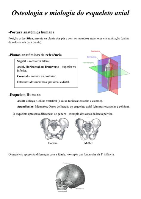 Solution Osteologia E Miologia Do Esqueleto Axial Docx Studypool