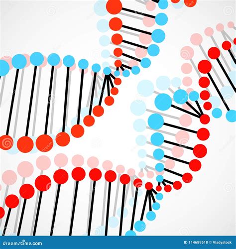 Abstract Spiral Of Dna Colorful Molecula Stock Vector Illustration