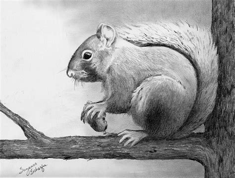Easy Pencil Shading Drawing Animals Goimages Online