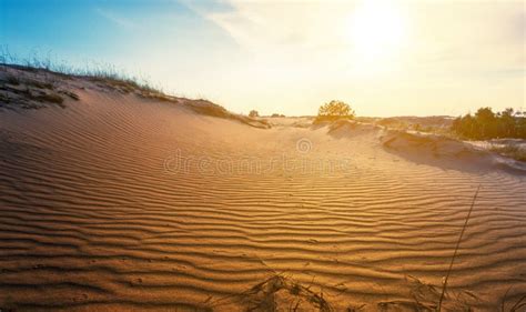 66709 Desert Scene Photos Free And Royalty Free Stock Photos From