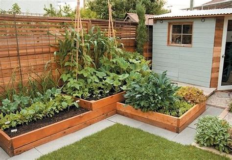 Small Garden Design Vegetables Garden Design